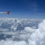 ハニハニ