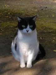もあの画像