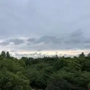 キャメル