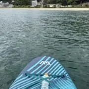 Yappiの画像