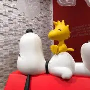 ぴの画像