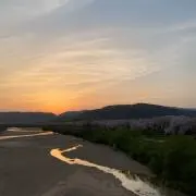 mezzの画像