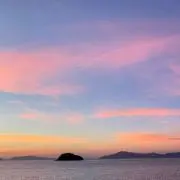a.の画像