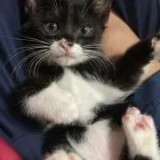 J.