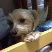 蜃気楼