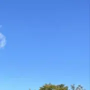 大量出品中！値下げ交渉可の画像