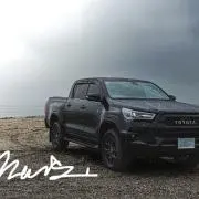 LMCの画像