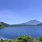 タウタウの画像
