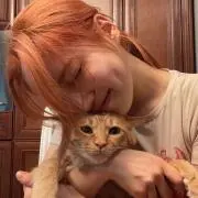infjの画像