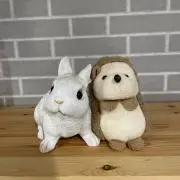 しょうたんの画像