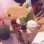 ゆかりの画像