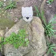 マツリの画像