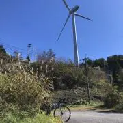 みっちーの画像