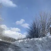 古着屋ワニマックスの画像