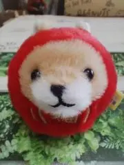 チョコの画像