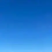 aoの画像