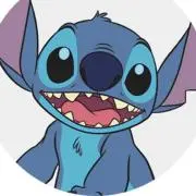 stich1925