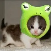 あきの画像