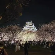 さやちゃんの画像