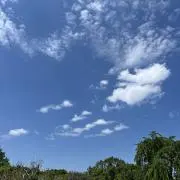 まっちー