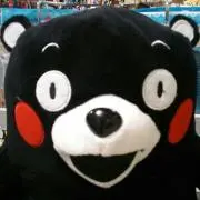 ヤマギワ