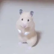 あーる︎‪の画像