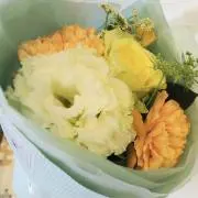 かめこの画像
