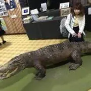 NAの画像