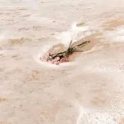 mzk