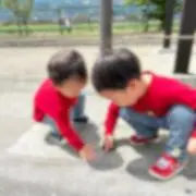 KTの画像