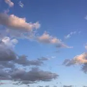 秋の音奏の画像
