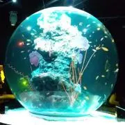 まいるどの画像