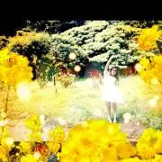 ゆうの画像