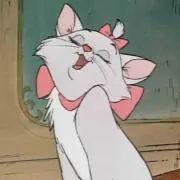 ねこの画像