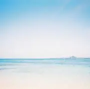さかもとの画像