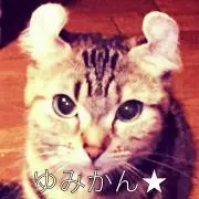 ゆーみかん★プロフ要確認願います！