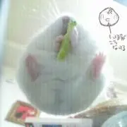 HOTARU.29の画像