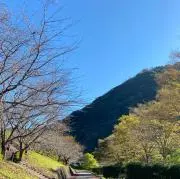 monokoの画像
