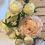 yanagi_homeの画像