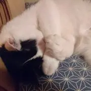 なおちの画像