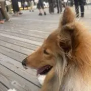 ゆうの画像