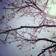 ひよりmama♡プロフィール必読＊