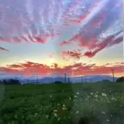 ひろみ