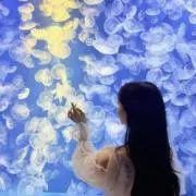 ニアジョイ ≒JOY 村山結香 ペンライトフィルム - メルカリ