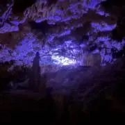 ⭐︎⭐︎