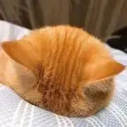 疲労