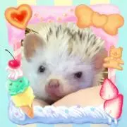 まーやん