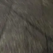 も
