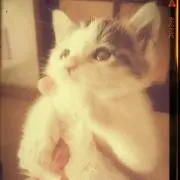 chera