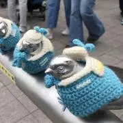たまごちゃんの画像